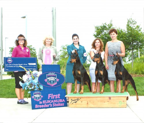 Eukanuba Breeder Stakes