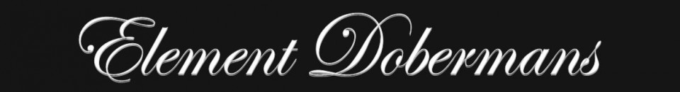 element dobermans